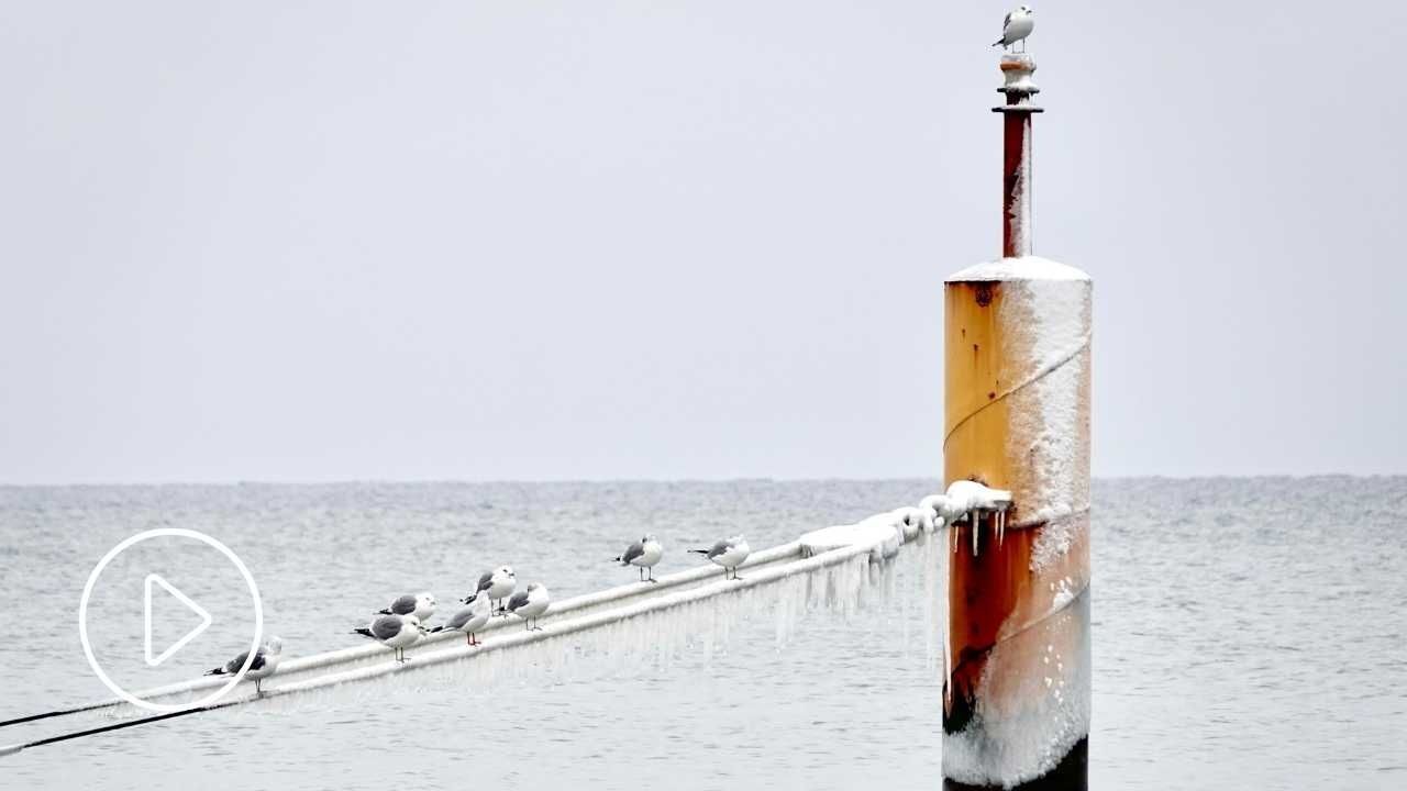 Zimowy relaks w Stegnie. Szum morza wart miliony.